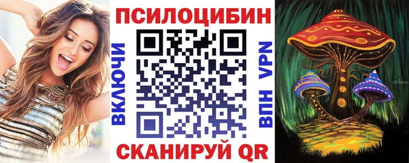 Галлюциногенные грибы Psilocybine cubensis  Вельск 